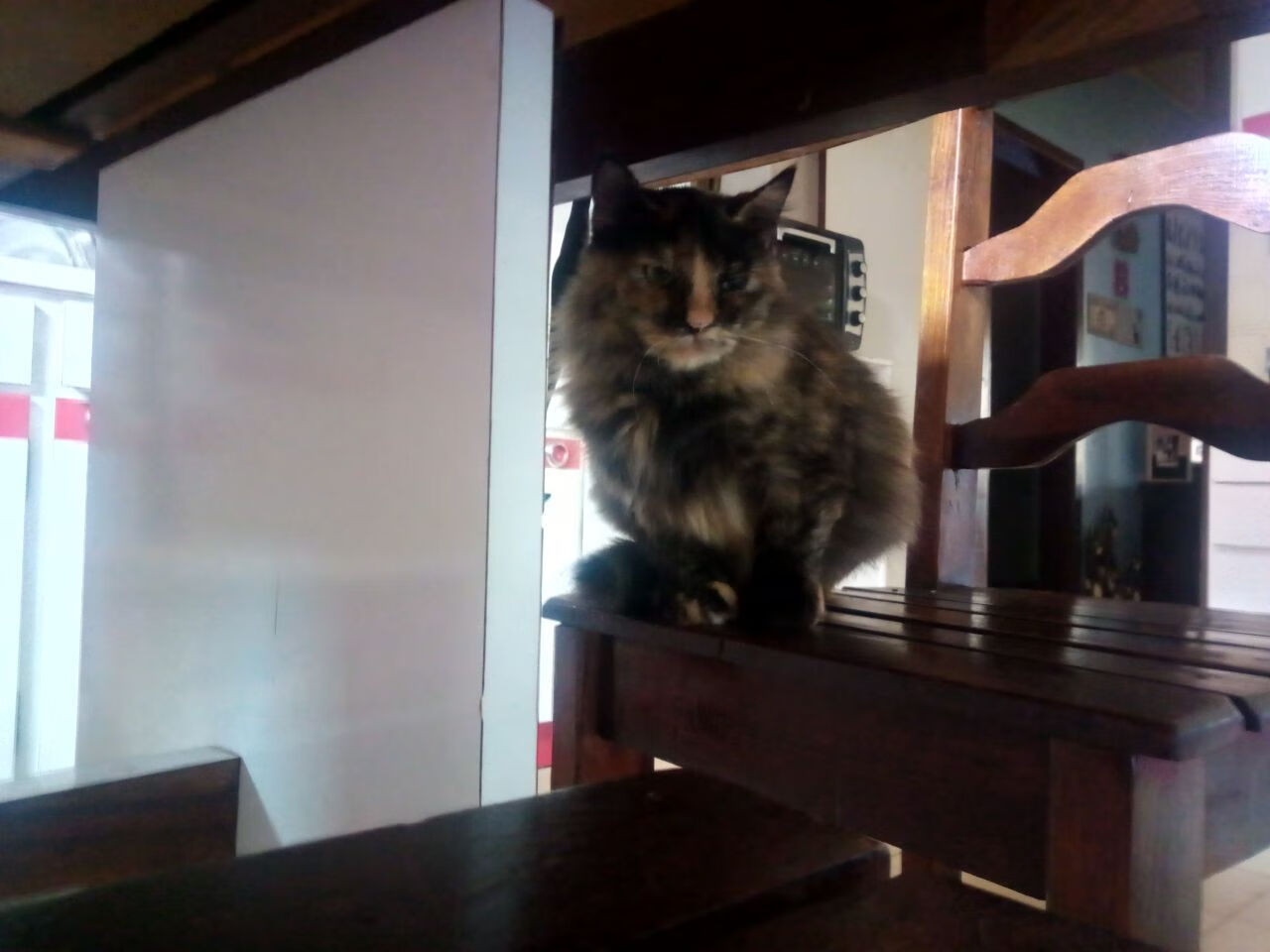 世界杯揭幕预演，勇士史诗翻盘篮网，2026焦点战的篮球镜像